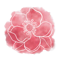 line art of pink rose flower