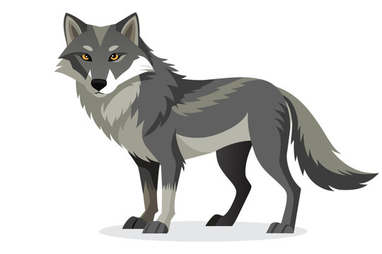  Wolf Animal flat vector illustration on white background