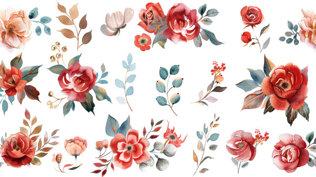 Watercolor Vintage Floral Patterns Isolated on Transparent Background, PNG Format