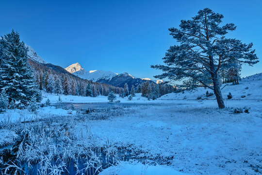 Lake Lai Nair near snowcapped Sesvenna Alps at sunrise, Tarasp, Lower Engadine, Engadine, Grisons, Switzerland