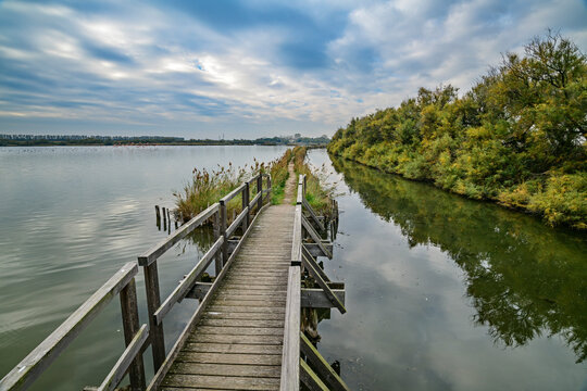 Footbridge over Po River delta near trees, Emiglia-Romana, Italy