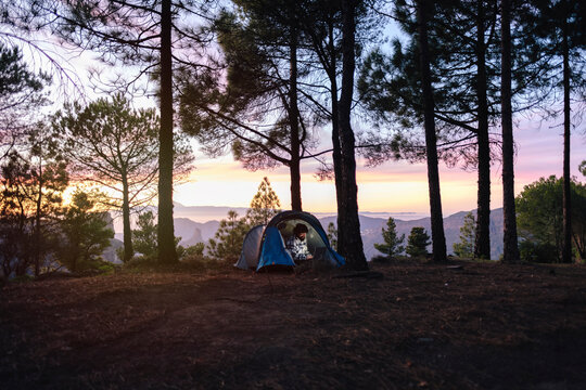 Freelancer working on laptop in tent near trees
