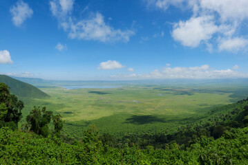 Fototapeta na wymiar Beautiful wildlife of Ngorongoro in Tanzania