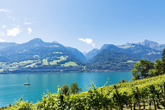 Switzerland, St Gallen Canton, Scenic view of lake Walensee and surrounding mountains in summer