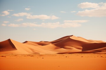Fototapeta na wymiar a sand dunes in the desert