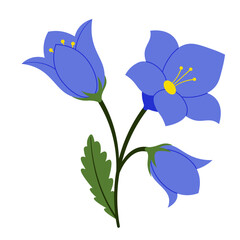 Fototapeta na wymiar Blue Bell Spring Blossom Flowers Illustration