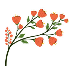 Lilies Spring Blossom Flowers Illustration