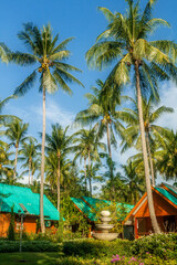 Coconut palms and bungalows, Thailand