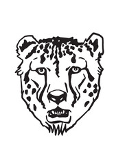 Graphical head of leopard on white background, vector illustration	