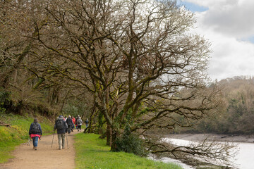 groupe de randonneurs sur un sentier en Bretagne