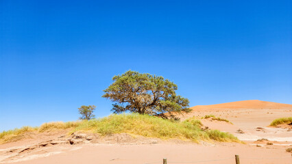 Most of Namibia's deserts are red due to the iron content in the sand.