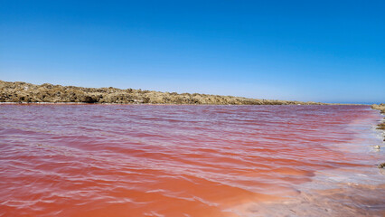 Namibia's salt lakes are pink