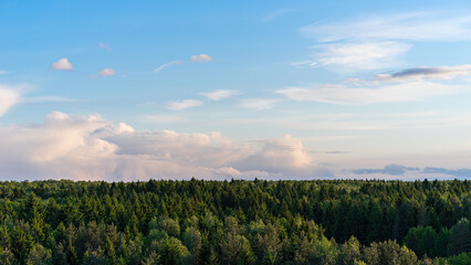 Forest horizon and sky with clouds high-angle view summer panoramic landscape