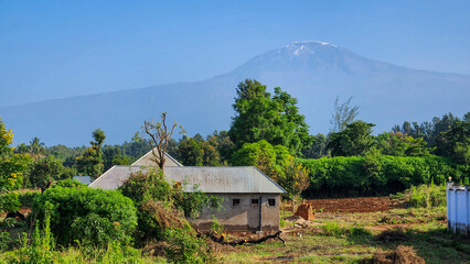 The cafe which is available to see Mount Kilimanjaro