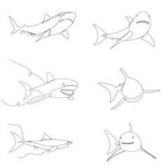 set of shark sketch, on white background vector