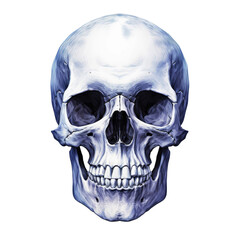 Skull Stylized in Blue Isolated on Transparent or White Background