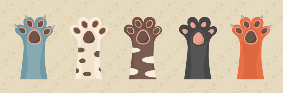 Naklejki Vector set of cat’s paws illustrations, cute diary stickers with animals
