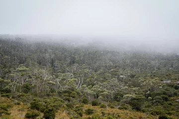 Papier Peint photo autocollant Mont Cradle Cradle Mountain National Park in Tasmania, Australia