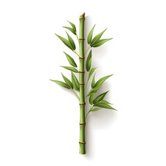 Fresh green bamboo stems isolated on white background for design and decoration - obrazy, fototapety, plakaty