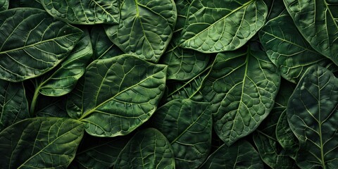 Lush Green Leafs Organic Texture Close-Up - obrazy, fototapety, plakaty