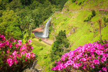 Discover the enchanting Ribeira dos Caldeiroes Park in Sao Miguel, a serene Azorean haven featuring lush landscapes and cascading waterfalls. - 766921654