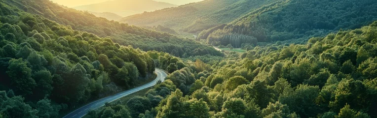 Fototapeten Winding Road Through Forest © BrandwayArt