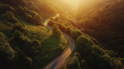 Aerial View of Winding Road Surrounded by Trees