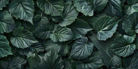 Leafy Green Organic Texture Background