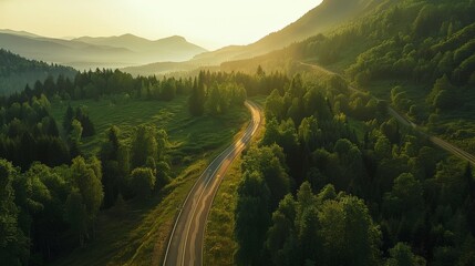 Aerial View of Road Through Forest - obrazy, fototapety, plakaty