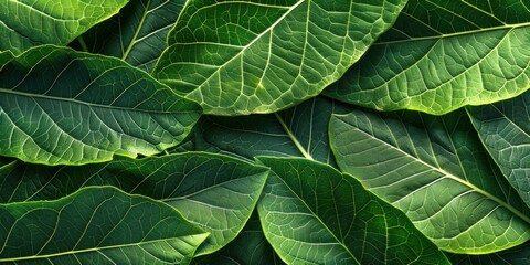 Vibrant Leafs Organic Texture Background