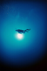 a diver exploring a reef on the island of Curacao