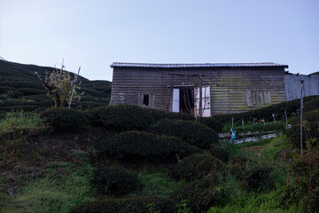 Lishan Mountains in Taichung of Taiwan