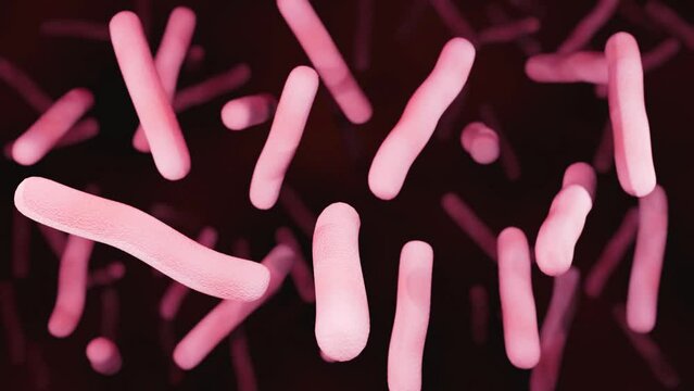 3d animation of Mycobacterium tuberculosis also known as Koch's bacillus, is a pathogenic bacteria that causes tuberculosis (TB)
