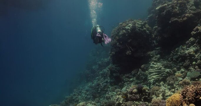 a scuba diver swimming back towards his boat