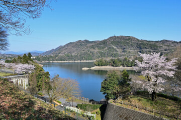 【神奈川県】春の津久井湖城山公園 湖畔