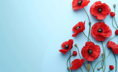 Red poppy flowers on blue background.