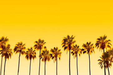 Fototapeta na wymiar Many palm trees on a yellow background, Summer evening