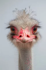 Tuinposter A close-up portrait of an ostrich © Veniamin Kraskov