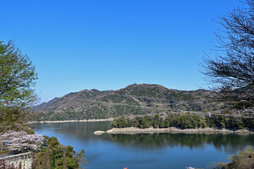 【神奈川県】春の津久井湖城山公園 湖畔
