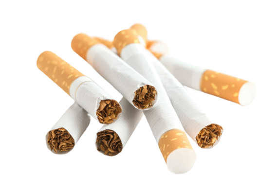 Tobacco Sticks isolated on transparent Background