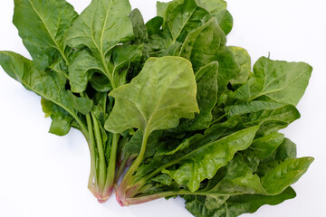 白背景で撮影したほうれん草