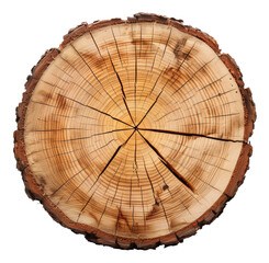 Cross-section of a tree trunk showing annual growth rings, cut out - stock png.