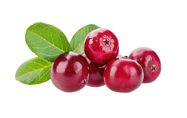 Leafy Cranberry Delight isolated on transparent Background