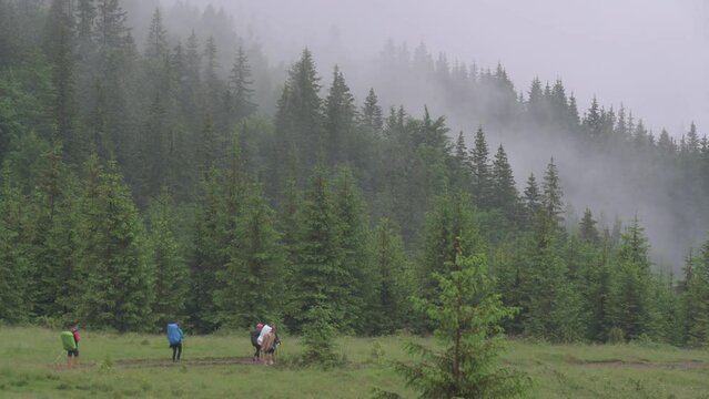 Descent of tourists from the Carpathian mountains.