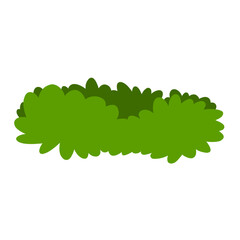 bushes illustration simple flat style vector isolated on white and transparent background