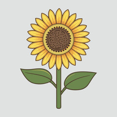 Sunflower vector illustration, floral, yellow, bloom, nature