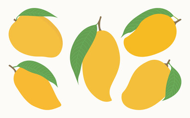 Mango Vector Illustration Hand Drawing Graphic Bundle