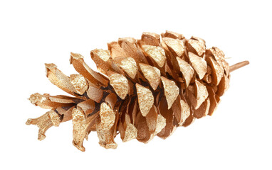 Gilded Holiday Fir Cone isolated on transparent Background