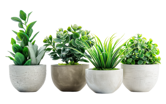 White Flower Pot Artificial Plant Display isolated on transparent Background