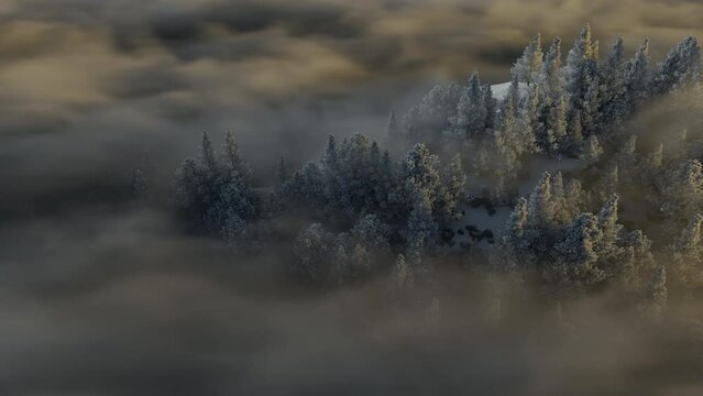 Frosty forest on a hill covered by moving morning mist